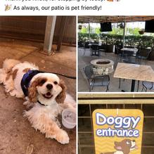 Texas Mesquite Grill restaurant view 1