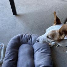 Triple TJ's Cafe restaurant view 3