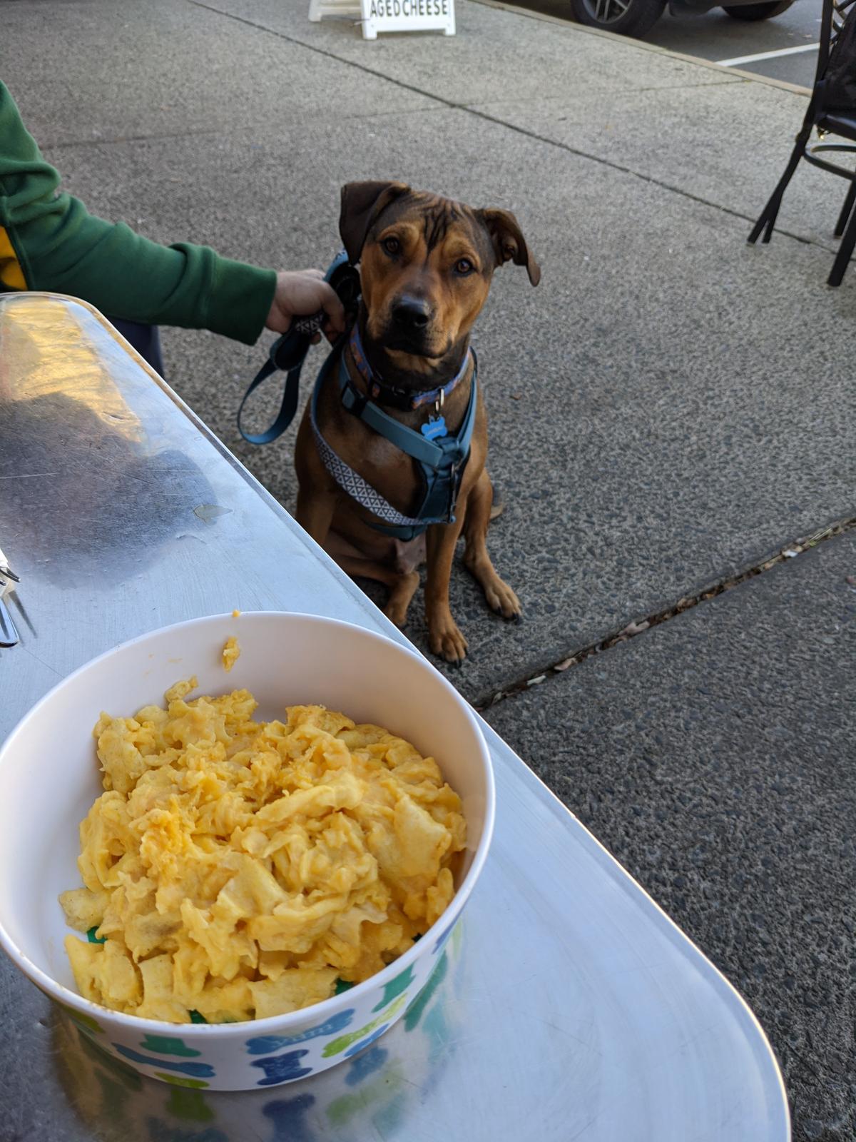 Missy's Main Street Cafe restaurant view 2