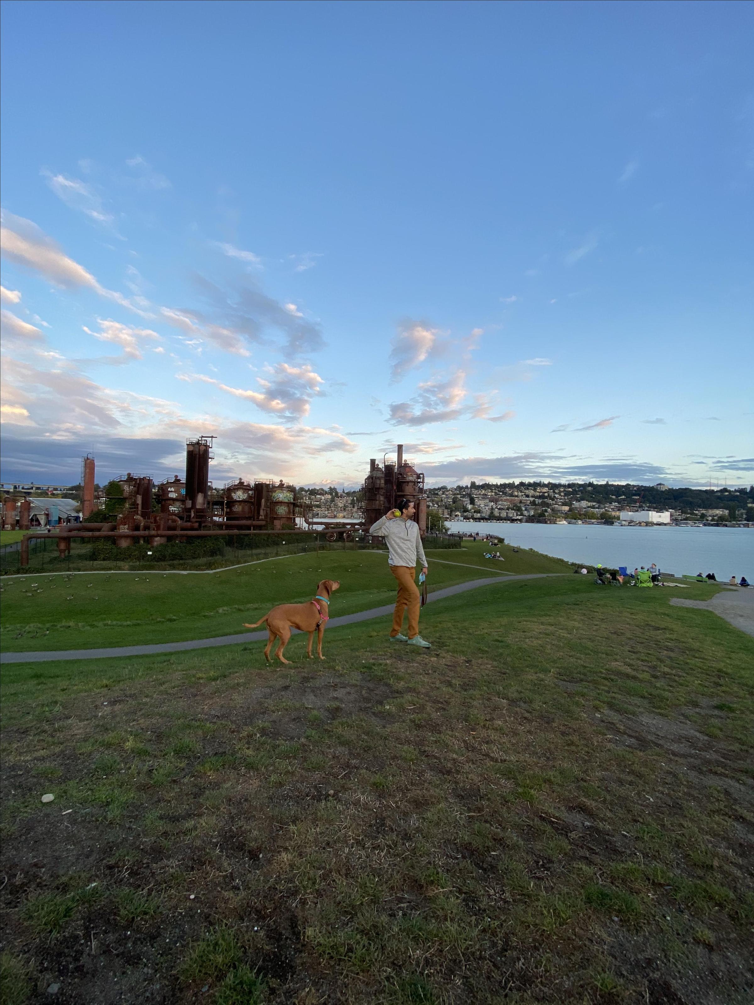 are dogs allowed at gasworks park seattle