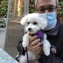 Dorothy 6 restaurant view 3