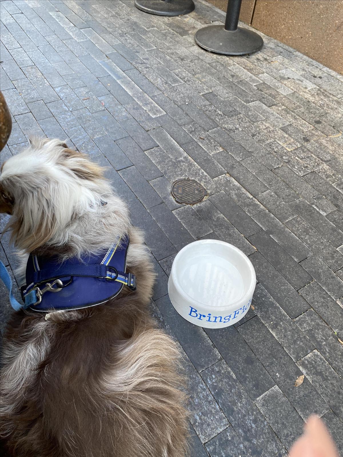 Tupelo Honey Cafe restaurant view 2