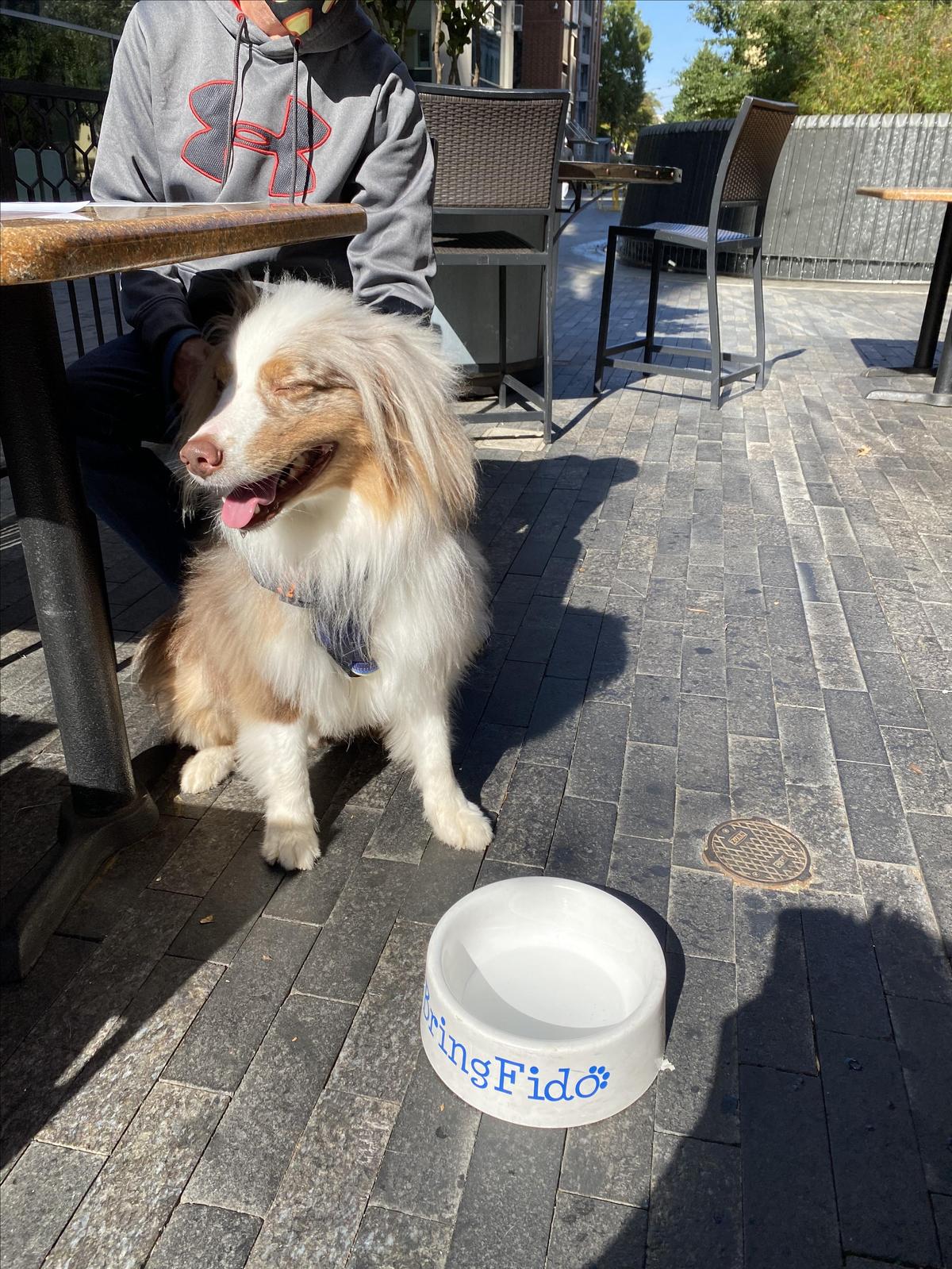 Image of Tupelo Honey Cafe