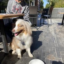 Tupelo Honey Cafe restaurant view 3