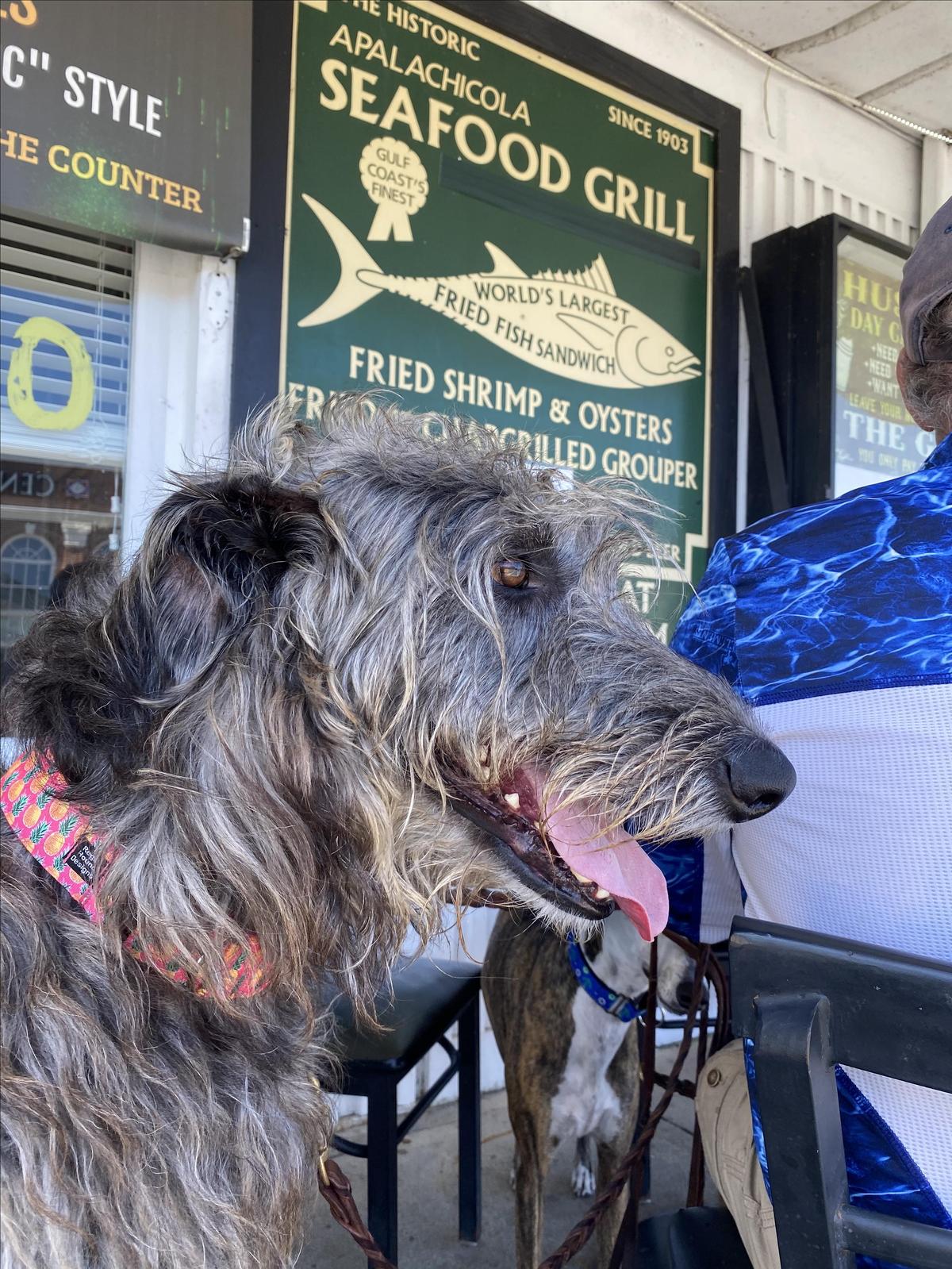 Image of Apalachicola Seafood Grill