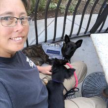 Cork & Pig Tavern restaurant view 3