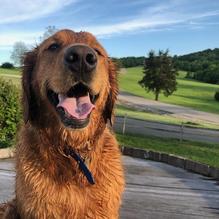 Chaumette Winery restaurant view 1