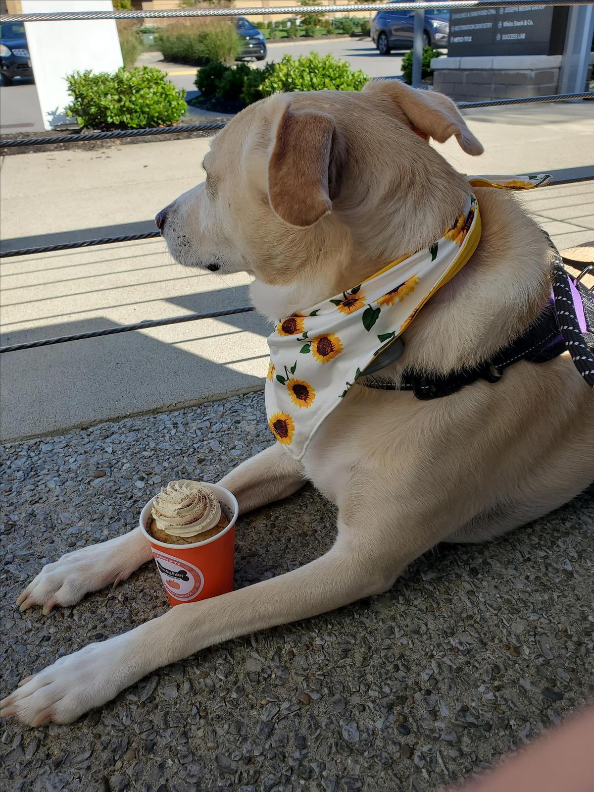 Burger Republic restaurant view 1