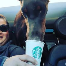 Starbucks restaurant view 1