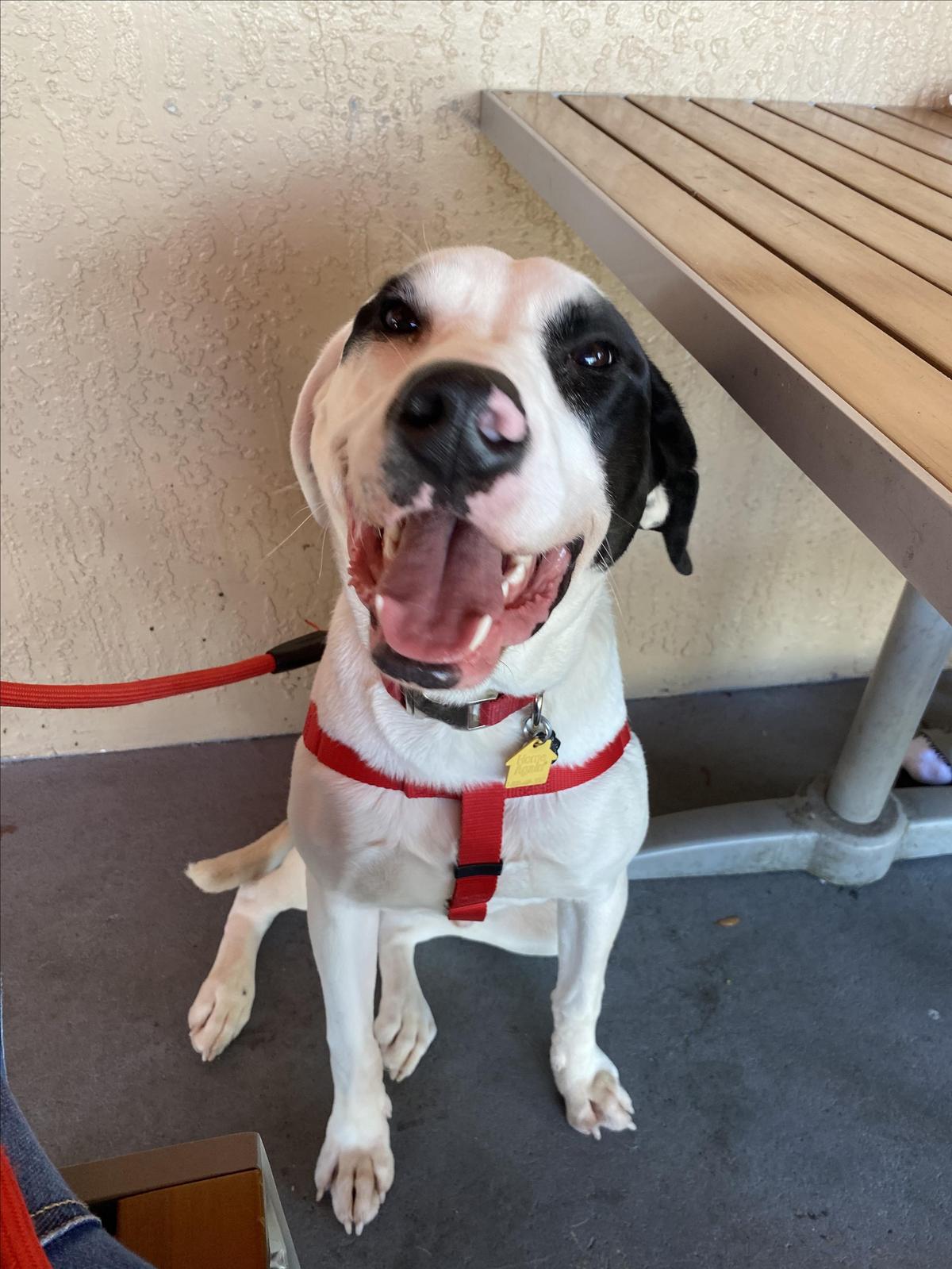 Applebee's restaurant view 1