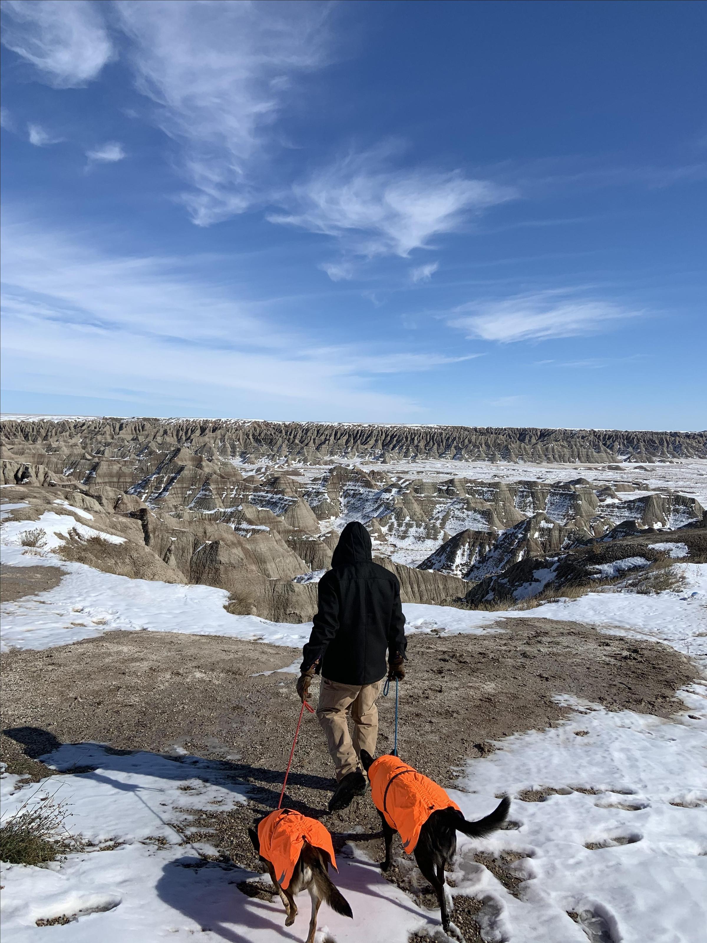 are dogs allowed badlands national park