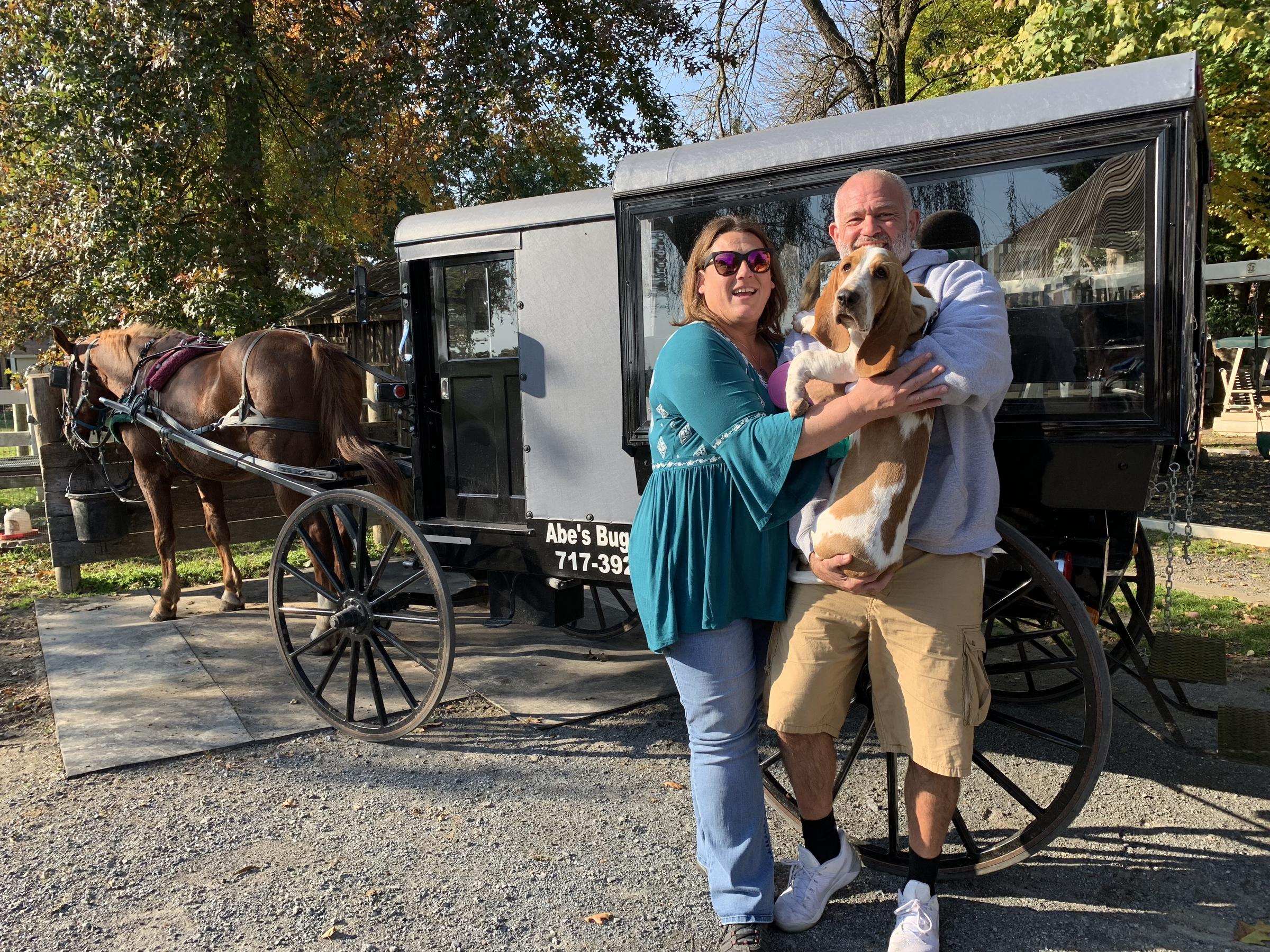 Pet Friendly Abe's Buggy Rides
