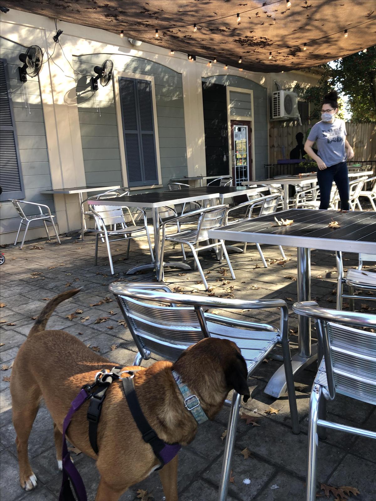 Brew restaurant view 6