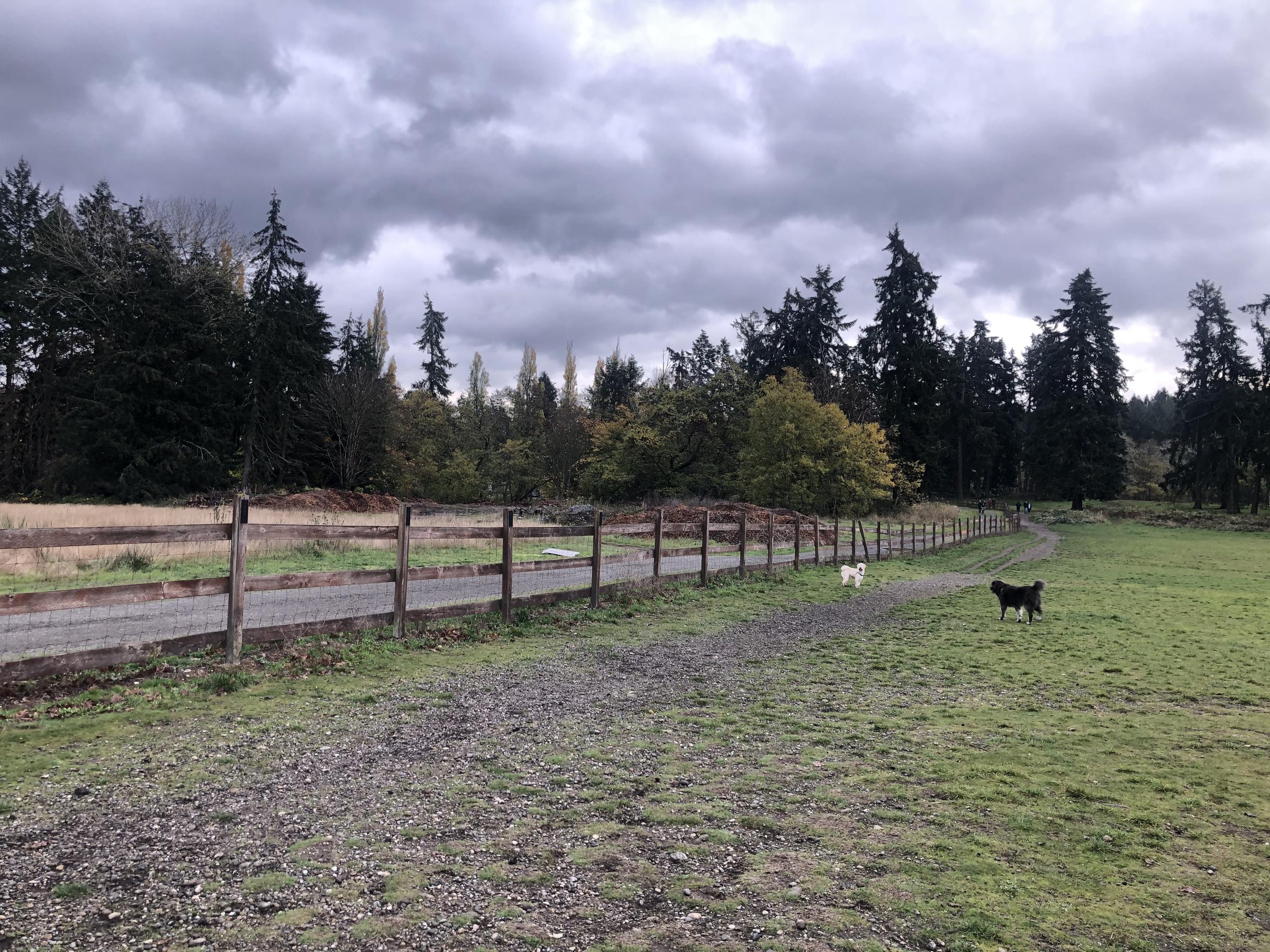 are dogs allowed at fort steilacoom park