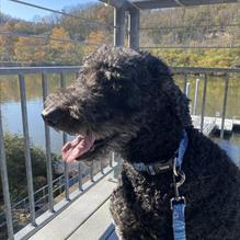 Table9 restaurant view 3