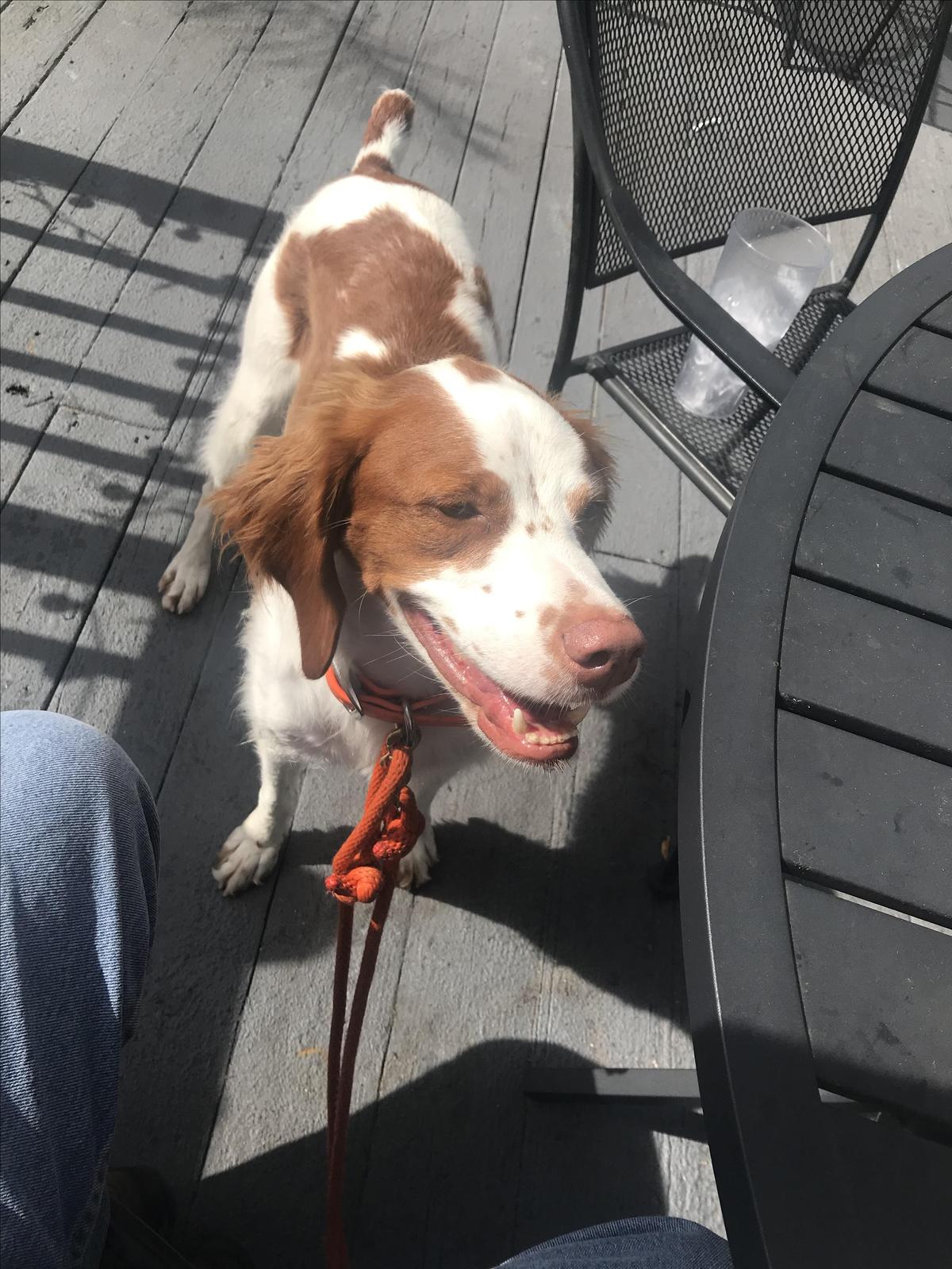 Crazy Fish Bar & Grill restaurant view 2