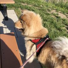 Pa's Place restaurant view 1