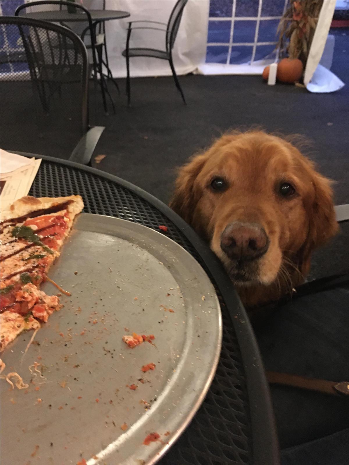 Sorrenti Family Estate restaurant view 5