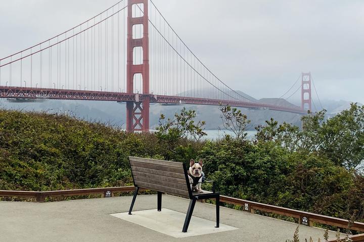 Pet Friendly Presidio of San Francisco