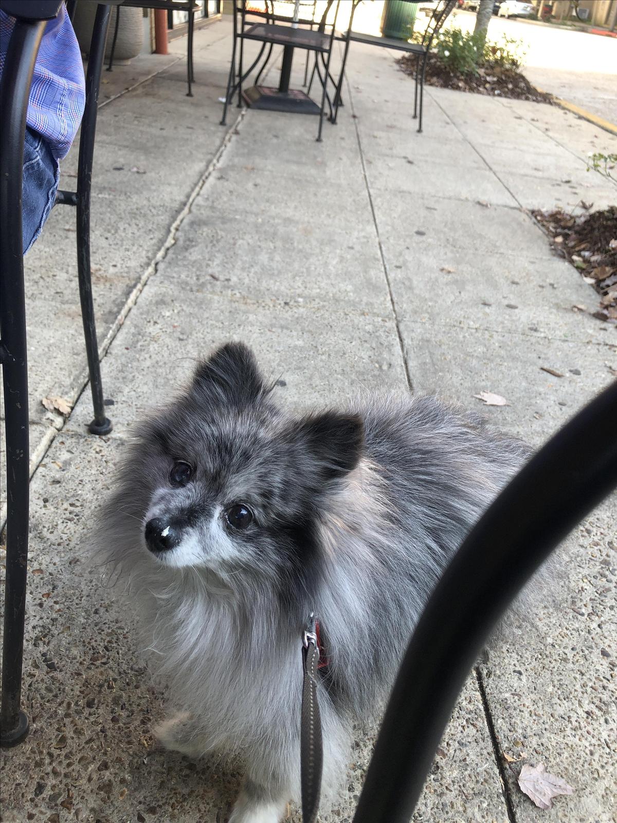 Poor Boy Lloyd's restaurant view 2