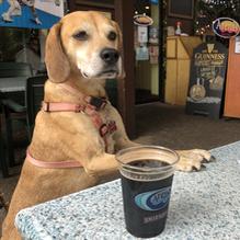 Arena's Deli restaurant view 3