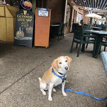 Arena's Deli restaurant view 2