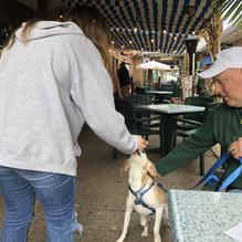 Arena's Deli restaurant view 1