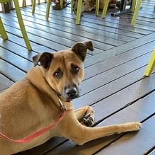 Haunted Hamburger restaurant view 1