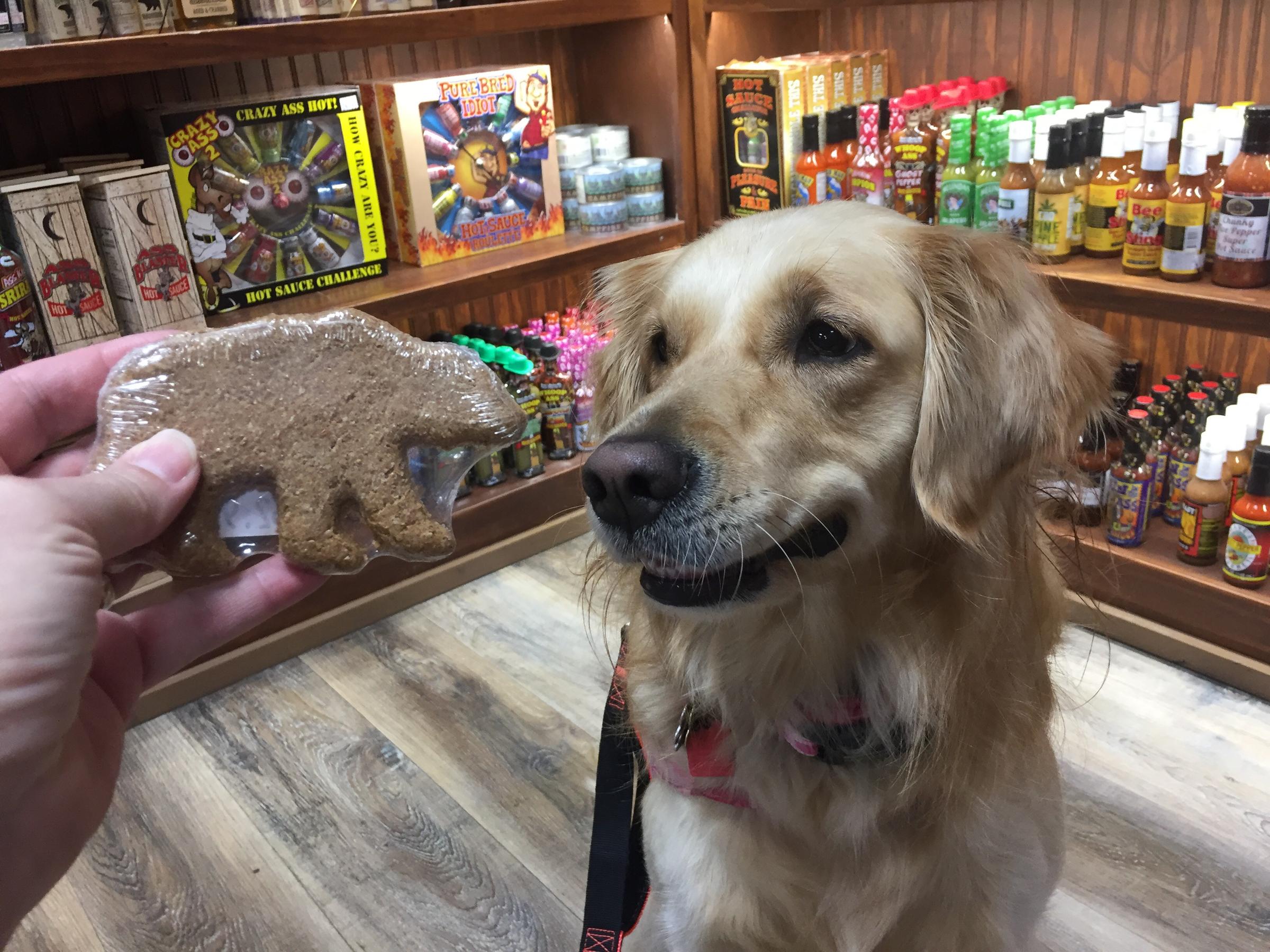 Pet Friendly Three Bears General Store