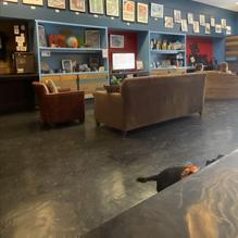 Stellar Beans Coffee House Cafe restaurant view 4