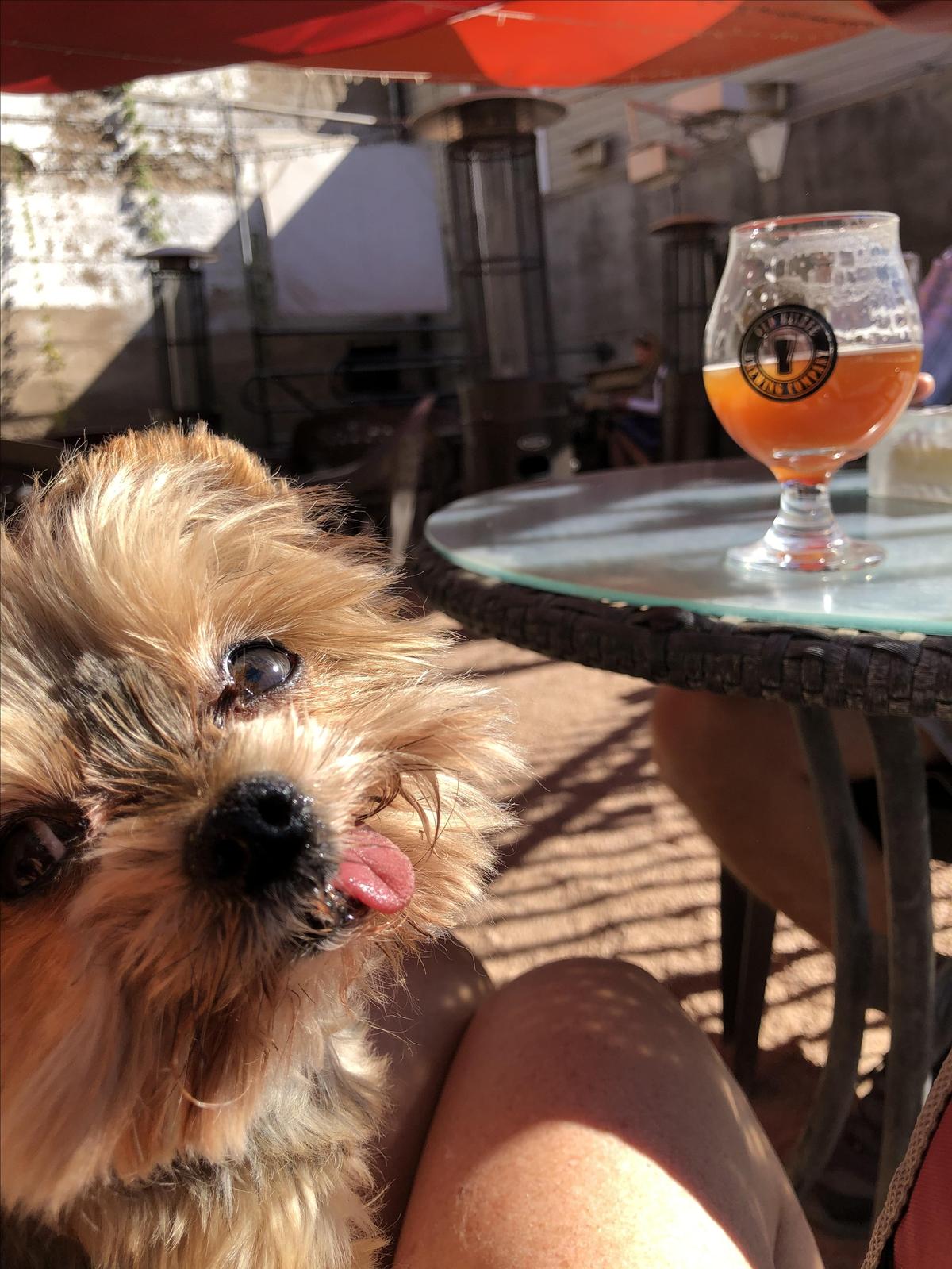 Old Bisbee Brewing Company restaurant view 4