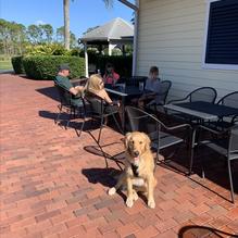 The Windmill Restaurant restaurant view 1