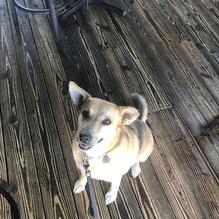 Boulevard Burgers restaurant view 3