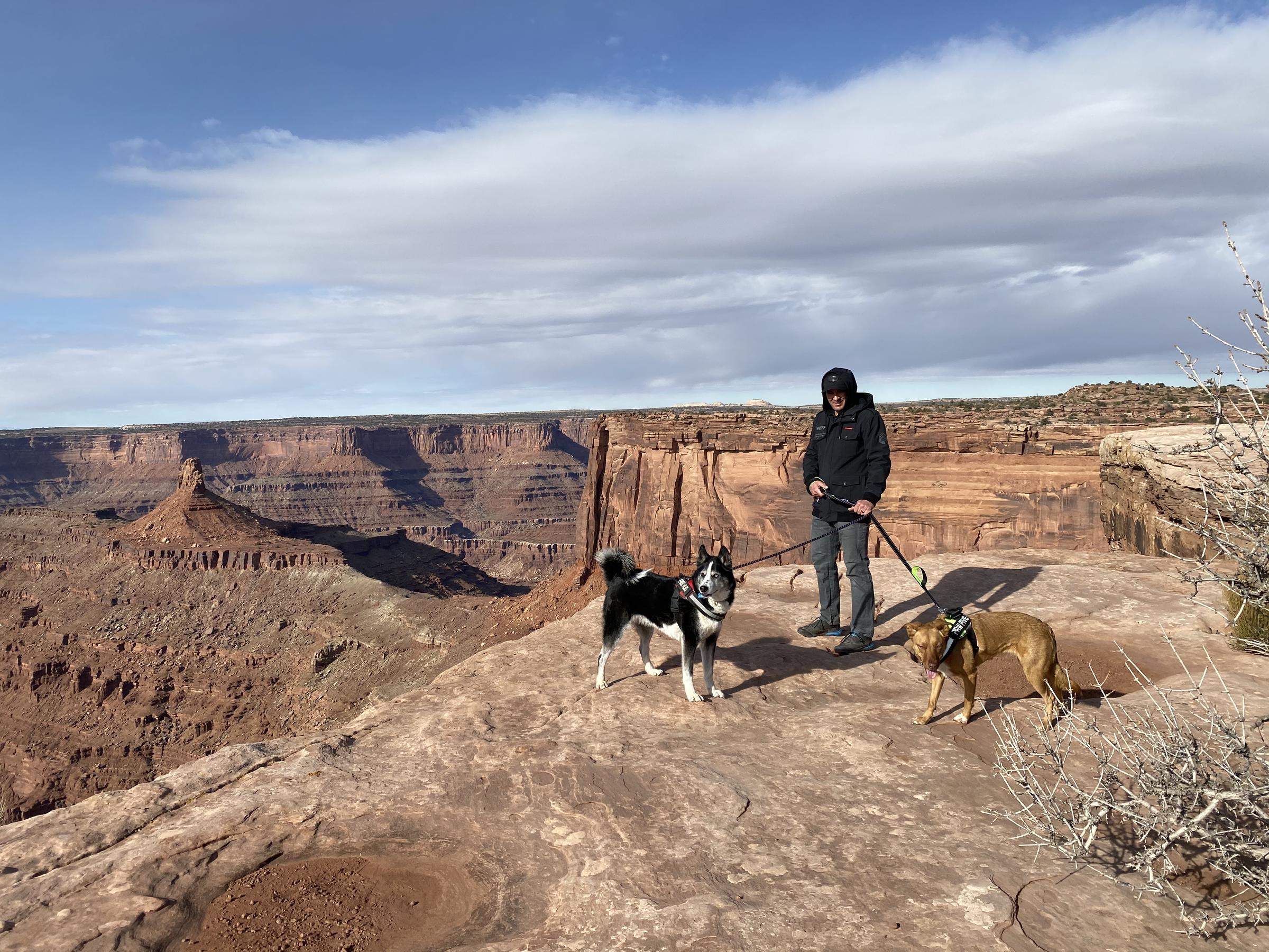 are dogs allowed in dead horse state park