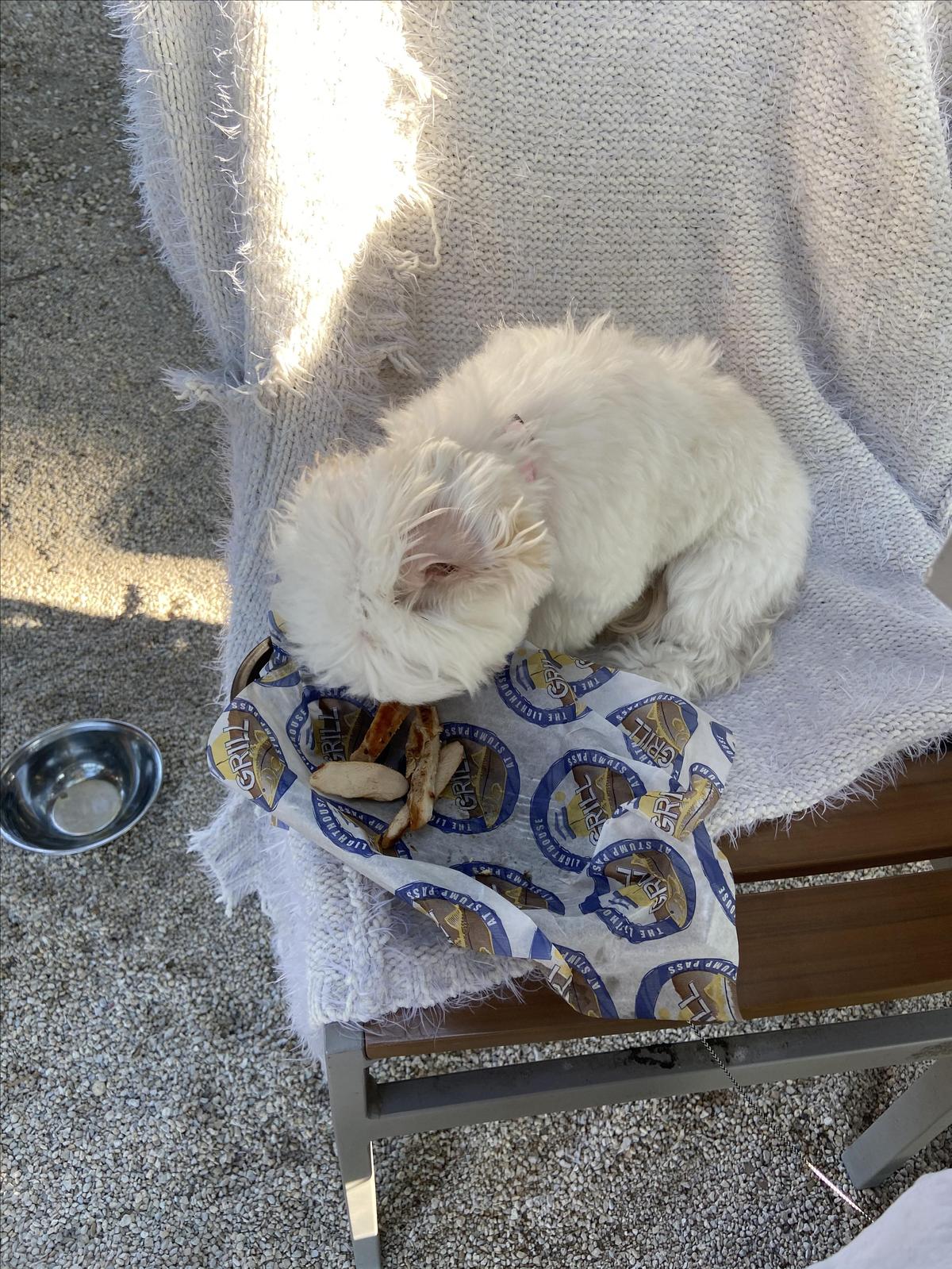 The Lighthouse Grill restaurant view 9