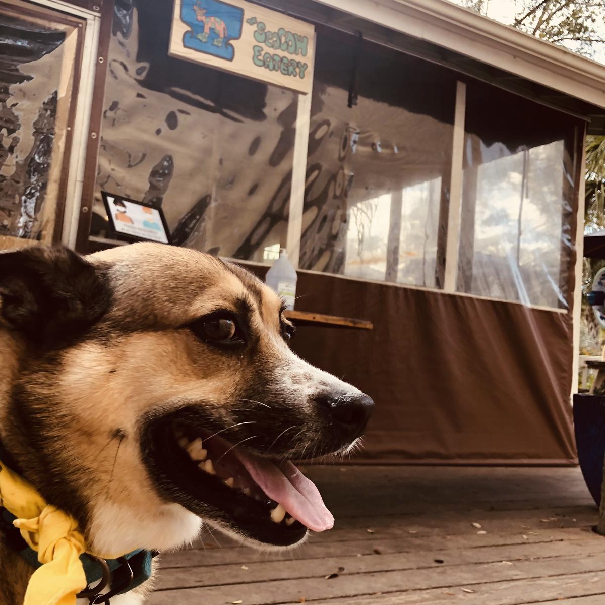 SeaCow Eatery restaurant view 4