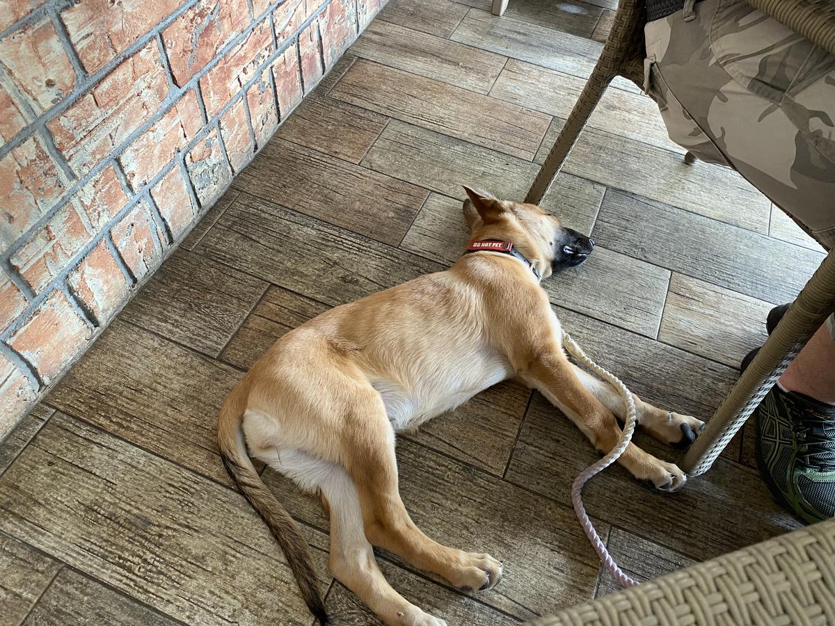 El Mariachi Mexican & Spanish restaurant view 1