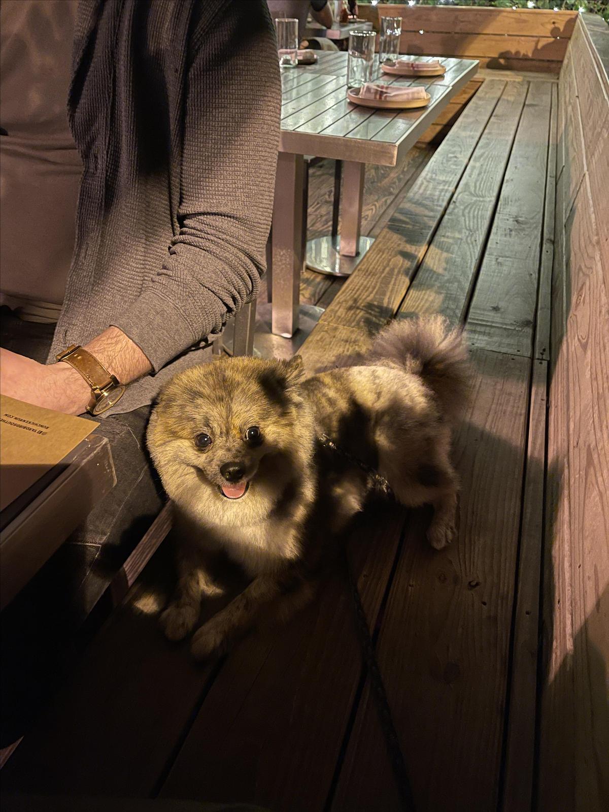 Yardbird Southern Table & Bar restaurant view 1