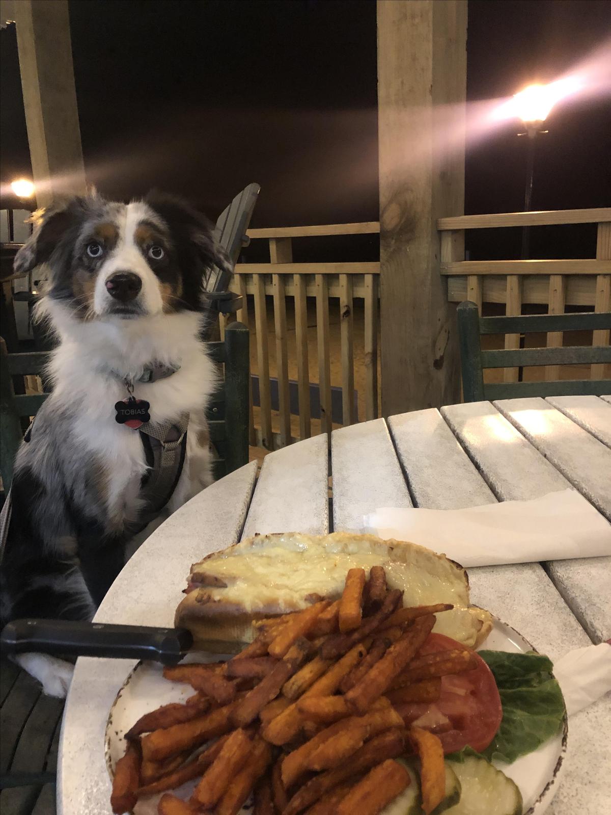 Crab's Claw restaurant view 7