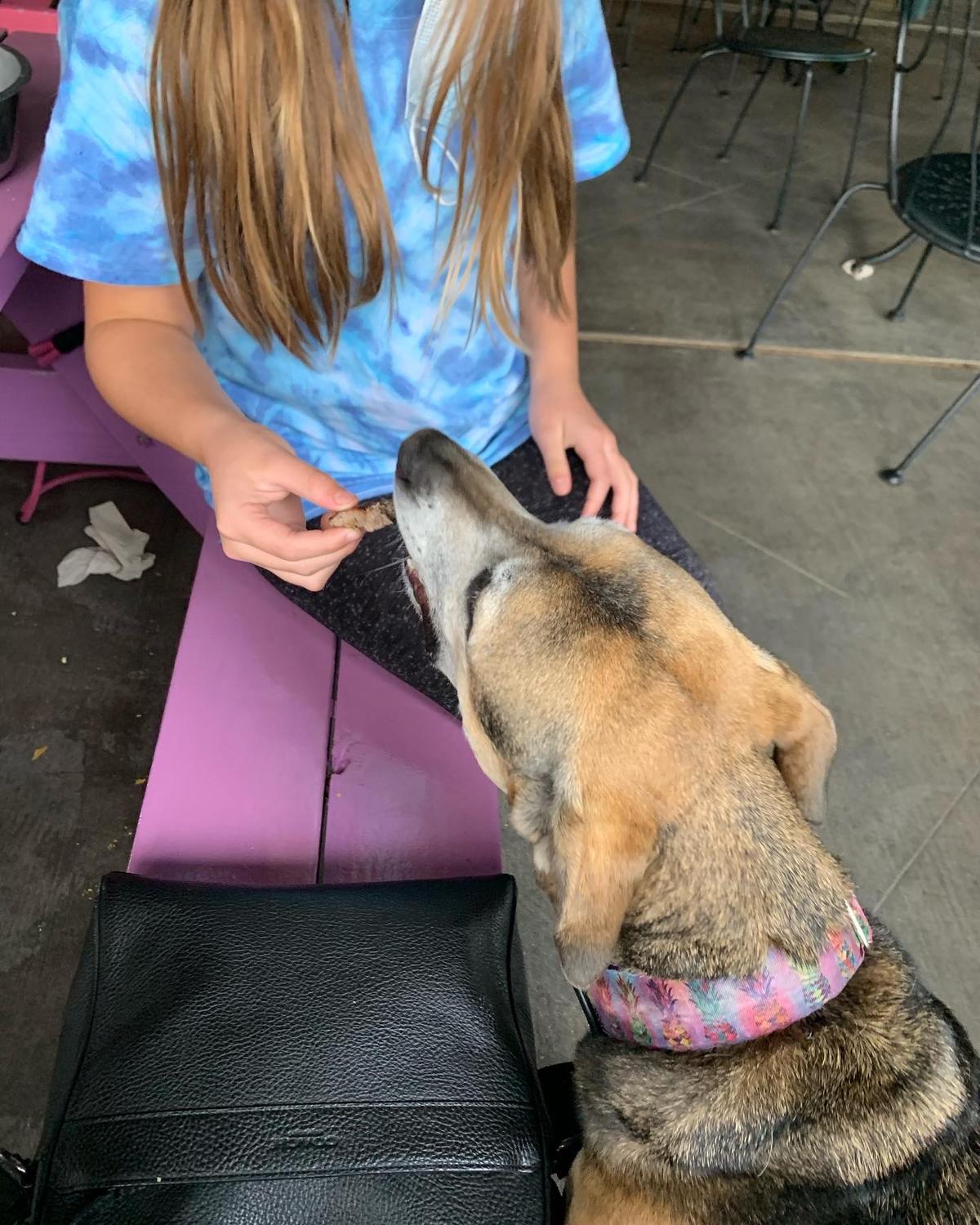 Beach House restaurant view 3