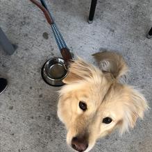 Tapped DraftHouse & Kitchen restaurant view 3