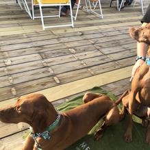 Clayton's restaurant view 2