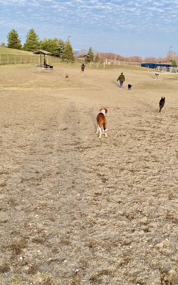 Red Oaks Dog Park