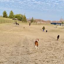 Red Oaks Dog Park