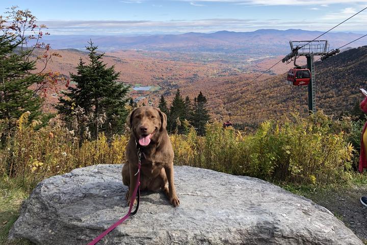 BringFido’s Ruff Guide to Vermont