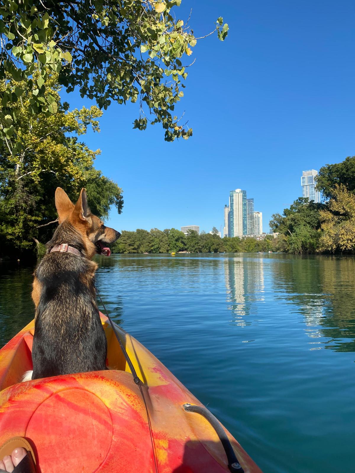 Zilker Park Boat Rentals