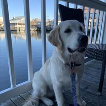 Bully's Pub and Grill restaurant view 2