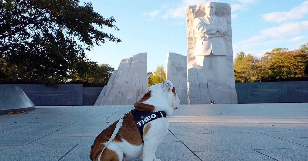 Walk With Fido in the Footsteps of Dr. King This MLK Day - BringFido