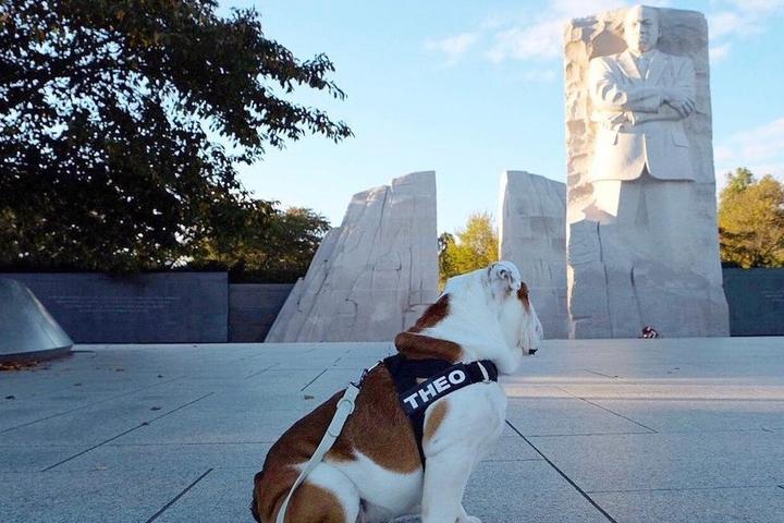Walk With Fido in the Footsteps of Dr. King This MLK Day