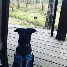 The Chimes restaurant view 3